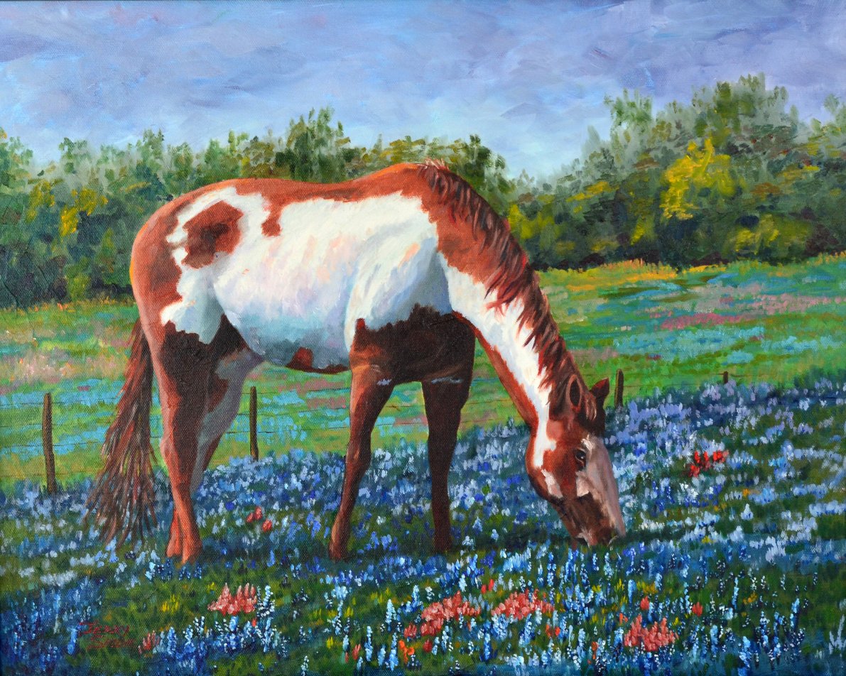 Paint Horse in Ennis Bluebonnets